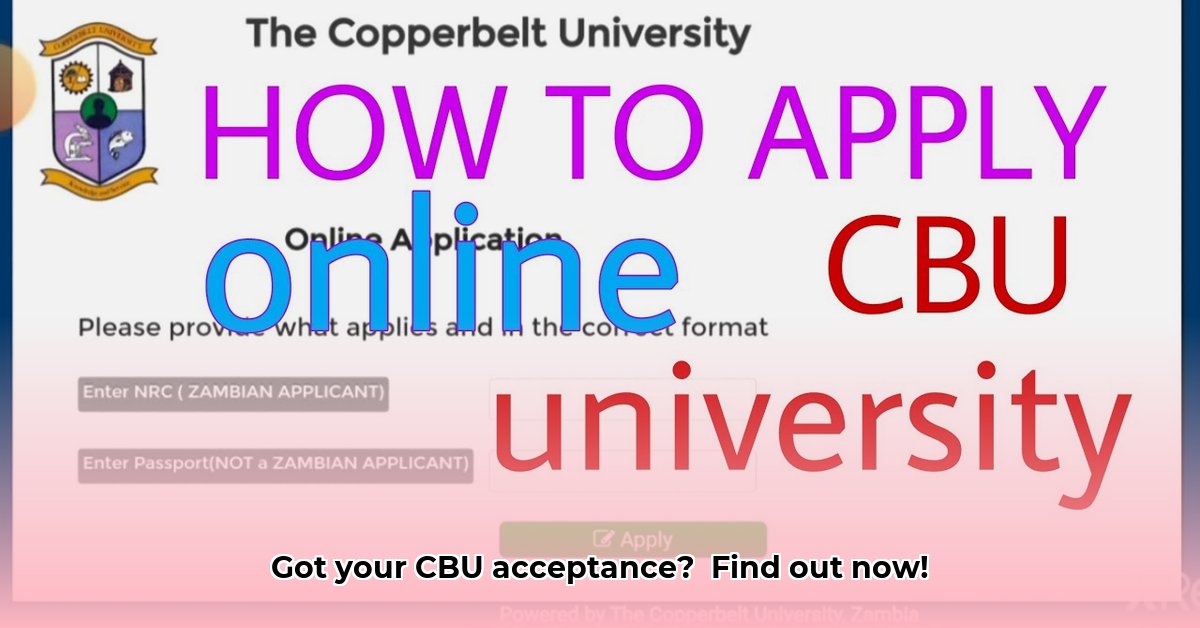 how-to-check-if-you-have-been-accepted-at-cbu